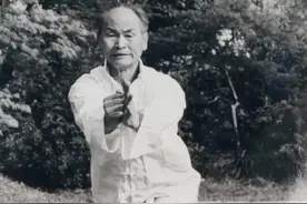 心意六合拳桩功微言图片