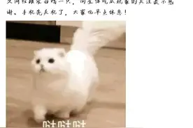 迷惑操作！逆水寒官博恼羞成怒，竟直接侮辱剑网3玩家图片