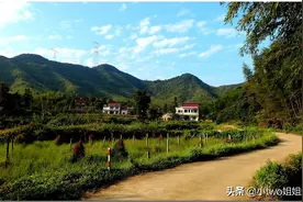 何岩芷自传（23）——母亲和男友的第一次见面图片