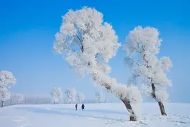苦等4年，“雪国列车”即将通车！冰雪长白，风味延吉，轻松直达图片
