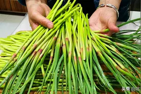 一样是蒜苔，“绿头”和“红头”有啥区别？老菜农告诉你正确答案图片