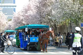 78万游客来到天津这里！不知道哪里能停车？这份攻略，您收好图片