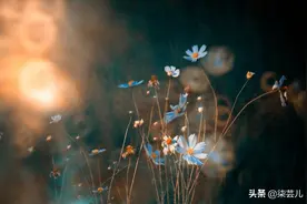 “不就是和男闺蜜旅游怀孕了？至于离婚”丈夫：我女闺蜜也怀孕了图片