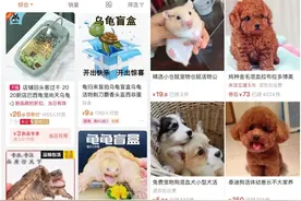 顶风作案！中通还在发宠物盲盒，网友早就说罚得太少图片
