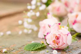 一个人有没有格局，其实看三点就知道了图片