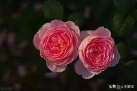 你有没有经历过，女生喜欢你，给你暗示，但你没有领会而错过了呢图片