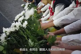 和平的信念图片