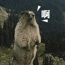 脚气中的角化皲裂型图