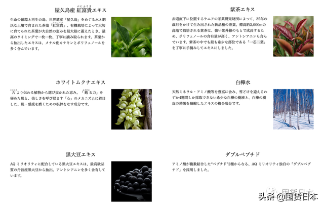 价值500000日元的限量版黛珂面霜也只是贵妇级护肤的入门？