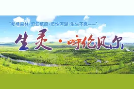 生灵 · 呼伦贝尔｜颜值与美味兼备，说的就是我图片