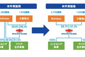 吴德南集团取得立邦涂料58.7%的绝对控股权图片