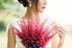 球根福利 | 美煞旁人的梦幻落新妇，要这样用！图片