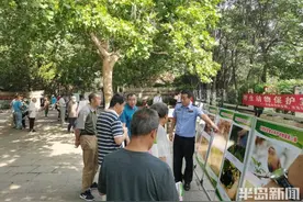 青岛市民注意！画眉、鹩哥……这些鸟类不能购买、饲养，当心违法图片