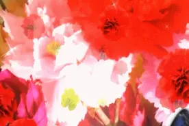 《满庭芳》图片