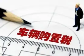 省时又省力，车购税“网上办”图片