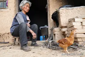 农村8旬老人买下20只小鸡，2个月后让她无奈，看是咋回事图片