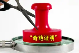 承诺制，让“爹妈是爹妈，父母是原配”这些奇葩证明不再困扰百姓图片