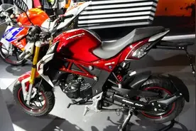 迷你款摩托车！149CC四冲程风冷引擎，3.5L仅油耗，极速达110公里图片