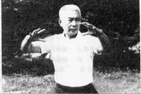 叶希圣：制人而不制于人——先师韩星垣之功夫点滴谈图片