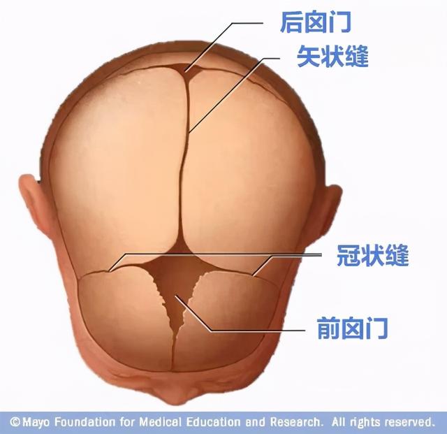 宝宝的囟门什么时候闭合？平时能摸吗？该注意的都在这里了