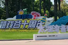 常州嬉戏谷十周年！太湖湾音乐节人气乐队齐聚一堂，现场嗨到爆图片