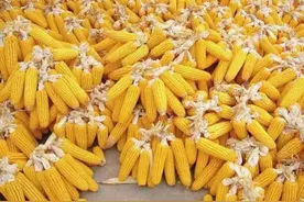 老屋记忆- 旧时光图片