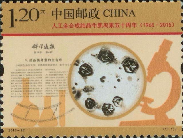 鐧惧勾鐬棿涓ㄦ垜鍥藉畬鎴愪汉宸ュ叏鍚堟垚缁撴櫠鐗涜儼宀涚礌