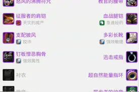 魔兽怀旧服P6狂暴战双持信用卡？盗贼双持信用卡还不够图片