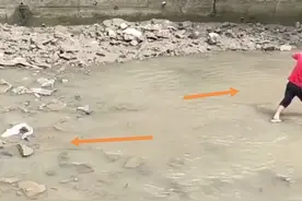 “胡子鱼”搁浅河道，被男子用木棍打死，网友：这鱼能吃吗图片