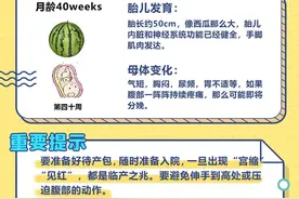 怀孕40周过程图解，了解妈妈和宝宝的变化图片