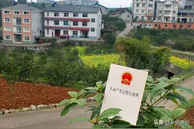 在农村，两个儿子只有一处宅基地，怎么分图片