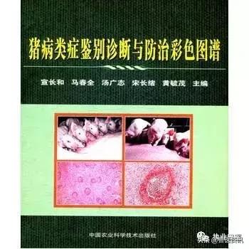 畜牧兽医工作者、猪场人员用书推荐（养猪篇），绝对有你需要的