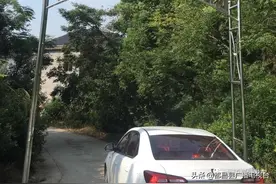 传家训扬新风之169 | 左里镇獭狮塘熊村：南朝名将檀道济的城山故事图片