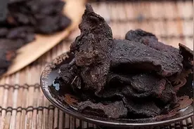 养生知药 | 生地黄图片