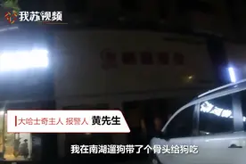 被大狗咬伤的小狗一方负全责 ：未拴狗绳违规在先图片