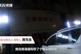 被大狗咬伤的小狗一方负全责 ：未拴狗绳违规在先图片