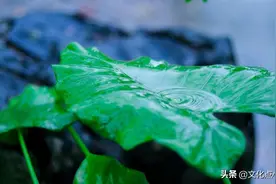宋词里最深情的一场雨，淅淅沥沥下了千年，醉了岁月，湿了眼眶图片