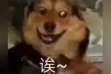 搞笑表情包：诶诶诶图片