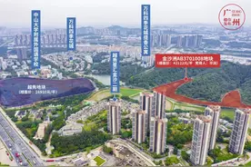 飘了！金沙洲地价4万＋以后，有业主连夜加价180万图片