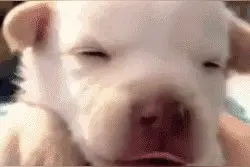 如果身边有人打哈欠，千万不要看他，怎么回事？图片