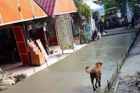 50个最倒霉的瞬间，让你知道什么叫作绝望图片