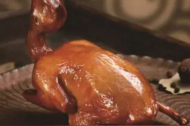 精品珠江 | 不想当鸽王的鸽子不是好鸽子图片