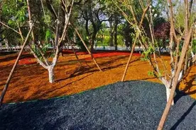 养土必备的覆盖物图片