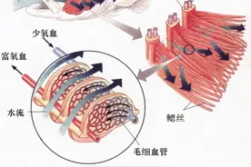 神奇的古老弓鱼术，鱼离开水2天，照样鲜活图片