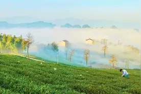 江浙沪新晋亲子王国2h直达！500000m²奇妙星球，比迪士尼人少好玩图片