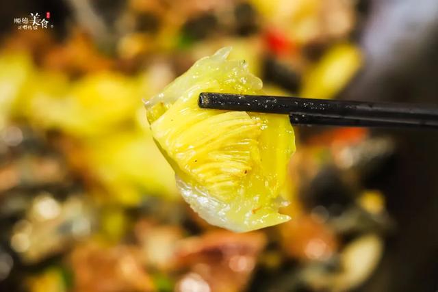 火腿花胶鱼翅响鲁汤 2026年花胶火腿煲汤的做法