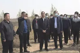 【绿美永年】永年区委书记侯有民调研督导西部山区绿化工作图片