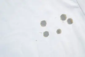 衣服蹭到油污很难清洗，4个简单实惠小技巧帮助您2分钟去除油污图片