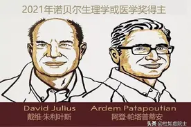 「如虚如实说」| 我们是怎样感知的？机器是怎样感知的？图片