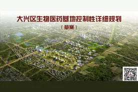 重磅出炉！大兴生物医药基地控制性详细规划图片